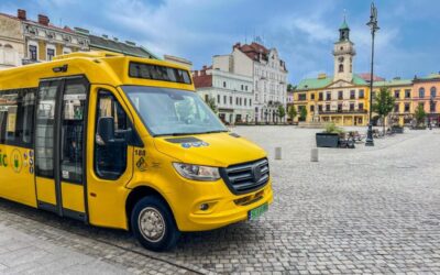 Dzieci i młodzież do 20 roku życia