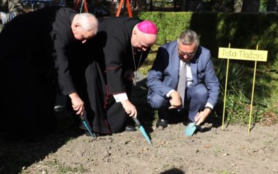 XXI edycja żonkilowych Pól Nadziei w Bielsku-Białej