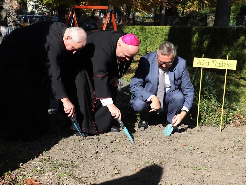 XXI edycja żonkilowych Pól Nadziei w Bielsku-Białej