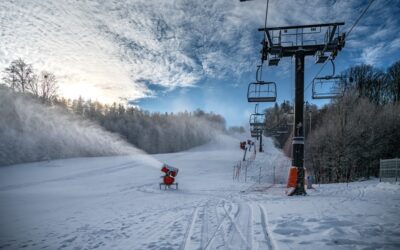 Dębowiec znów zaprasza