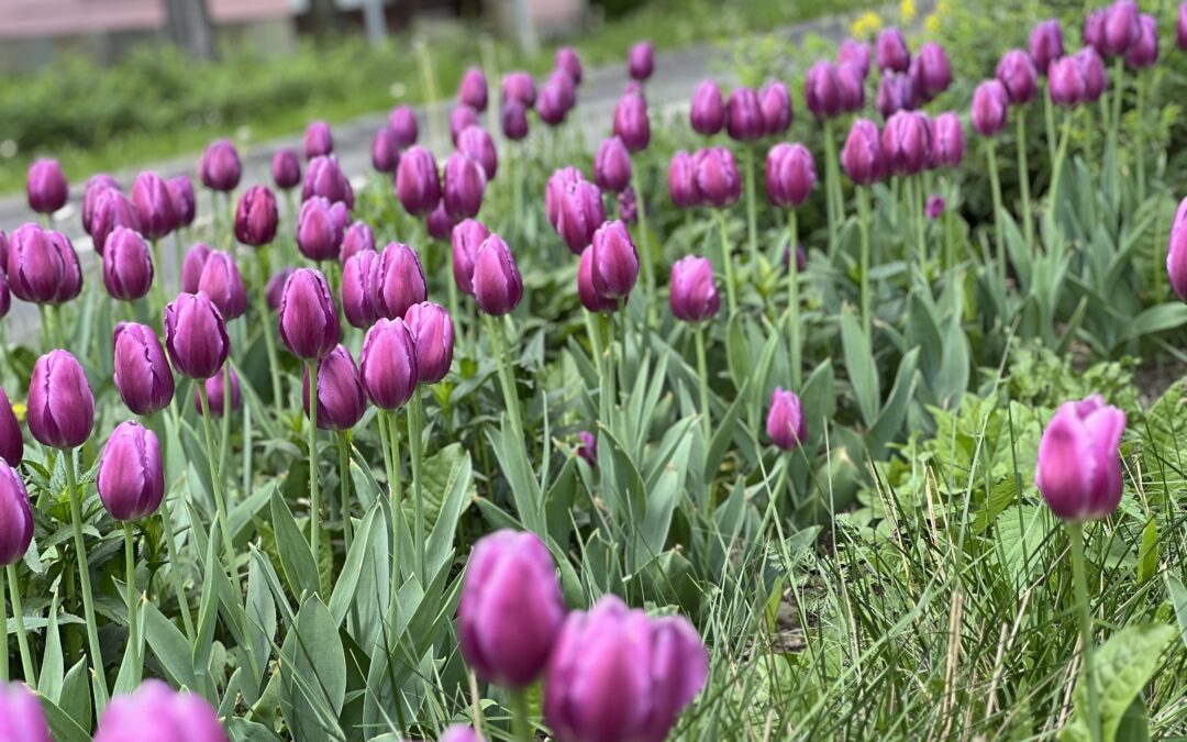 Takiego świata chcę!