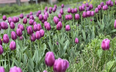 Takiego świata chcę!