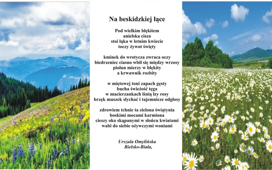 Na beskidzkiej łące