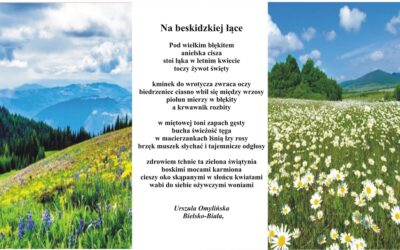 Na beskidzkiej łące