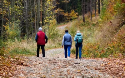 Szyndzielnia, Magurka i inne czekają…