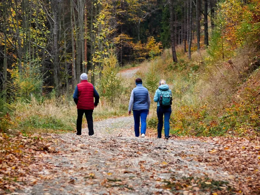 Szyndzielnia, Magurka i inne czekają…