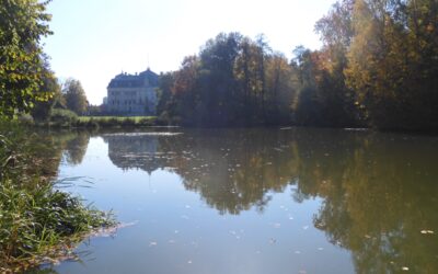 Z PKP Intercity za 1 złotówkę.