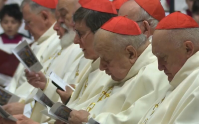 Zakończył się pierwszy nadzwyczajny konsystorz papieża Leona XIV.