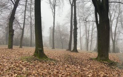 Modlitwa o dobry tydzień