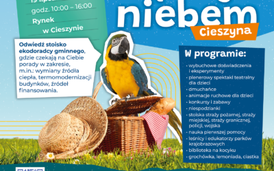 Cieszyn zaprasza na „Piknik pod błękitnym niebem”