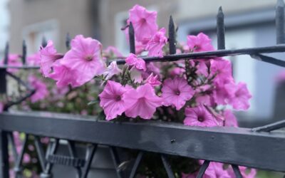 Nie wstydzę się swojego wieku, bo wiek to…