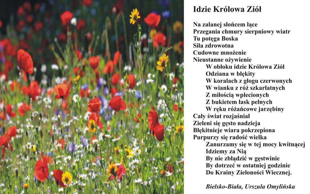 Idzie Królowa Ziół