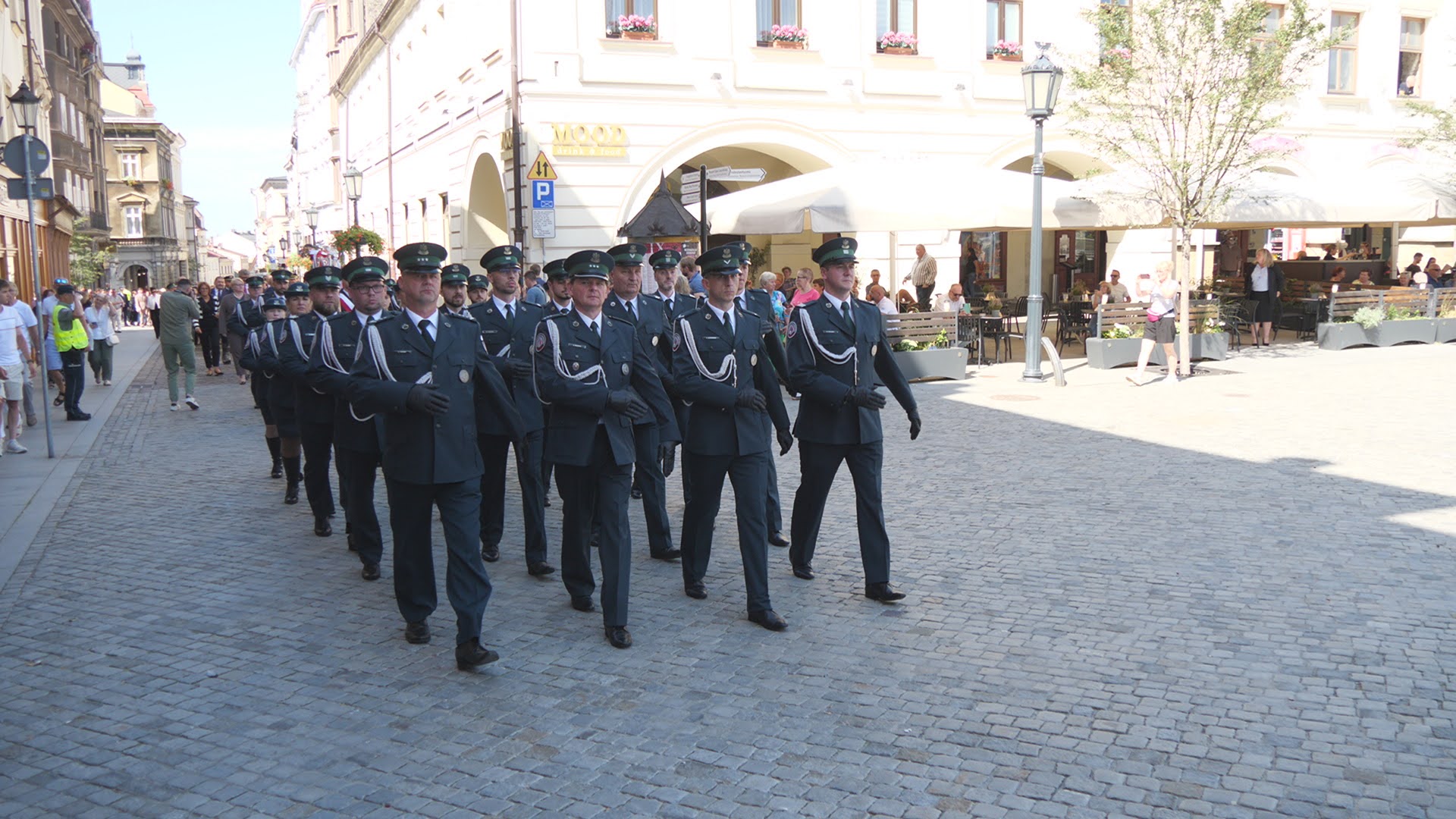 P1456229